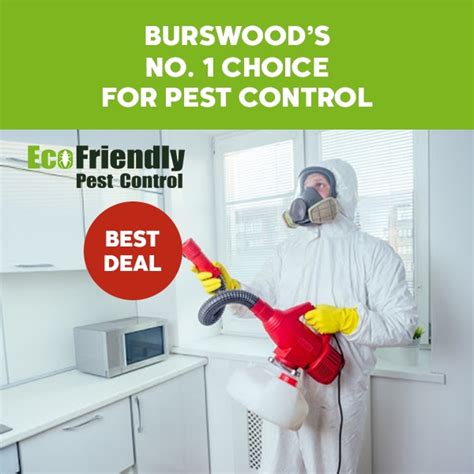 Pest control burswood  Guaranteed work